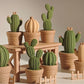 Cactos decorativos - Porta Objetos - kit com 3