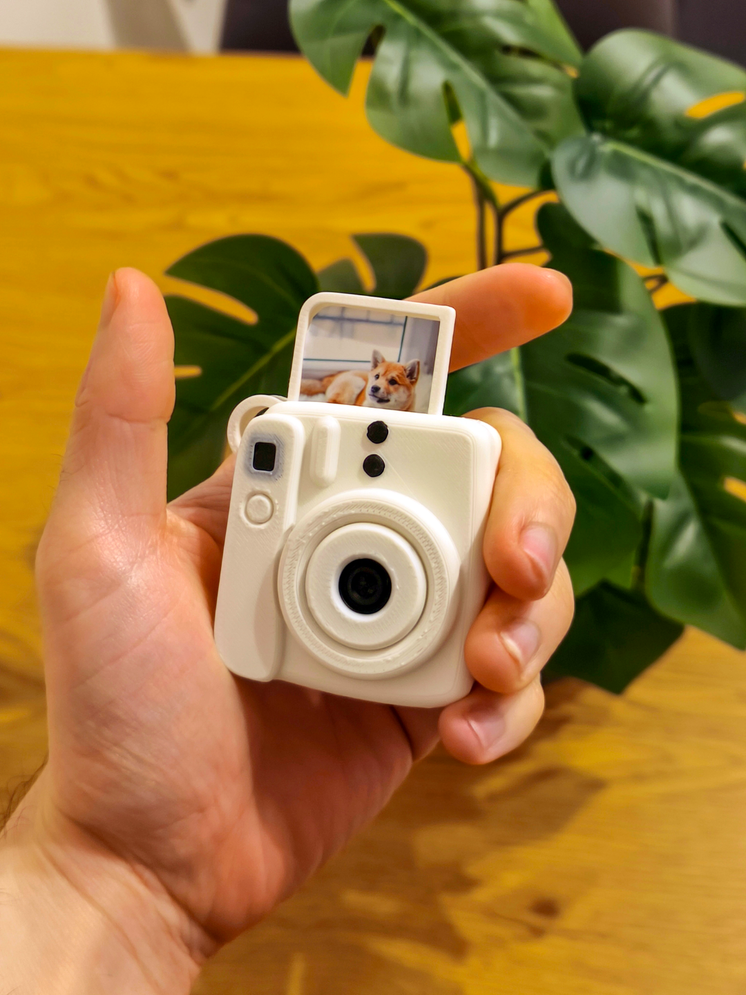 Porta Chaves Mini Instax