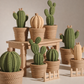Cactos decorativos - Porta Objetos - kit com 3