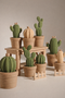Cactos decorativos - Porta Objetos - kit com 3