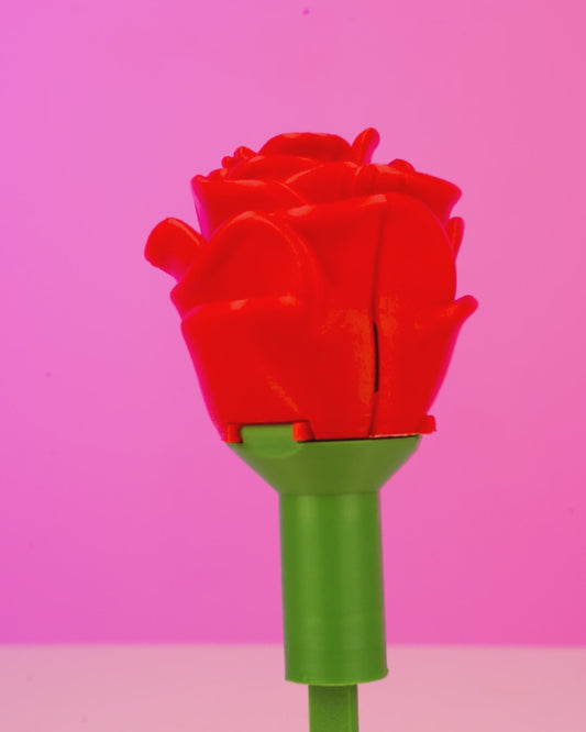 Rosa Surpresa Aliança